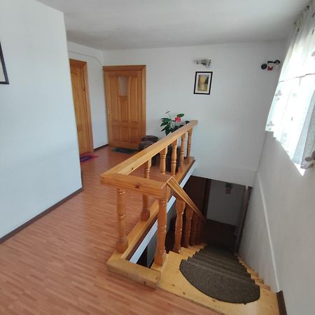 Camere de inchiriat EDELWEISS Dumbrava Roşie Esterno foto